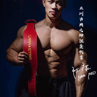 劳拉之星0852健身腰带健身深蹲运动护腰男女举重训练硬拉力量举