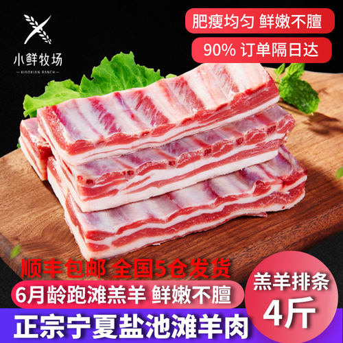 羊排新鲜宁夏盐池滩羊排条