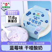 和润干噎酸奶 网红冷萃希腊厚蓝莓味干巴干嚼酸奶100g