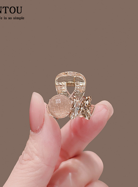 头发迷你抓夹女高级感2025新款小号发量少后脑勺半扎发公主头发夹