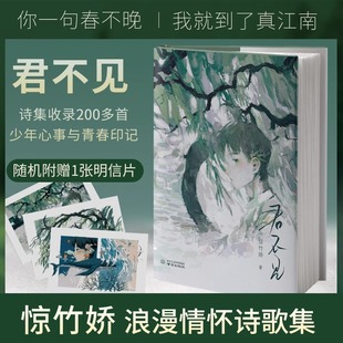 君不见 晚来急惊竹娇著 你一句春不晚 我就到了真江南作者S部青春诗集长短句少年意气与浪漫情怀现当代文学书籍