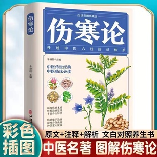 伤寒论成年人养生中医书籍大全 含原文注释译文 杂病论医药大全中医书籍中草药彩图大全书医学类书籍中药中医书养生 彩图典藏版