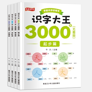 无图识字大王3000字幼小衔接教材拼音识字神器认知书卡片大全宝宝早教学前班识字有声伴读识字卡片启蒙儿童幼儿园小中大班一年级