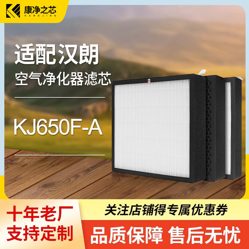 适配TIPON德国汉朗空气净化器滤网净霸KJ650F-A滤芯 - 实物图