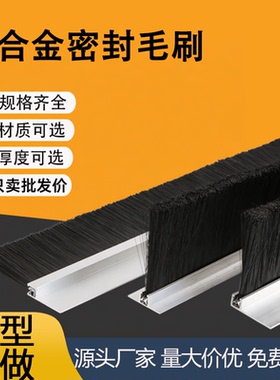 定做工业条刷防尘毛刷密封毛刷机柜尼龙刷旋转门条刷铝合金毛刷条
