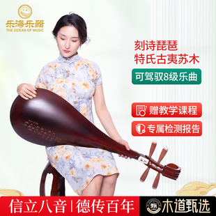 乐海 琵琶乐器进阶考级特氏古夷苏木材质刻诗经典款木轴木相913