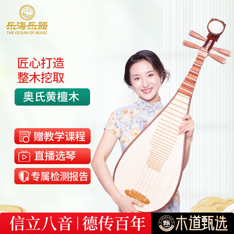 乐海 琵琶乐器考级演奏奥氏黄檀木材质木轴木相酸枝木琵琶琴DJ14