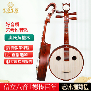乐海中阮乐器演奏级奥氏黄檀木材质素面典雅钢品花开富贵头饰514