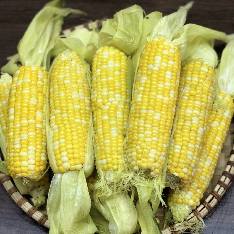 产地货源云南水果玉米9斤装甘甜多汁可生吃甜玉米棒 新鲜水果
