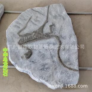 玻璃钢鱼类化石三叶虫龙模型科普教学地质古生物动物标本原石雕塑