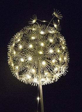 户外不锈钢蒲公英雕塑固定灯房地产销售部园林景观素描装饰摆件