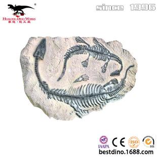 博物馆收藏的恐龙化石骨架高度仿真细节微妙工厂制作匠心出品