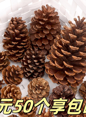 天然松果DIY松塔干树枝原木干花幼儿园手工环创布置装饰挂饰材料