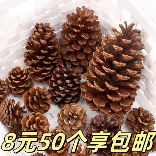 DIY松果松塔装饰材料幼儿园天然