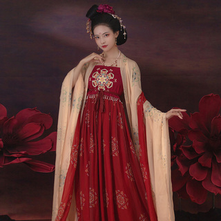 青渊原创汉服女唐制刺绣诃子裙忆萝绝美印花大袖衫披帛复原款