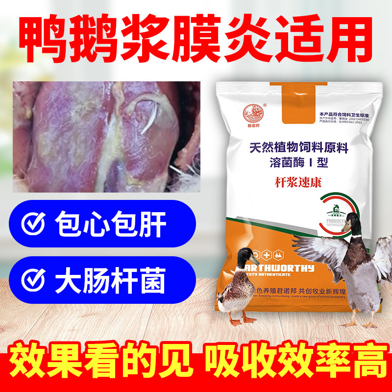 鸭鹅浆膜炎鸡大肠杆菌兽用包心包肝黄白痢糊肛拉稀肠炎腹泻气囊炎