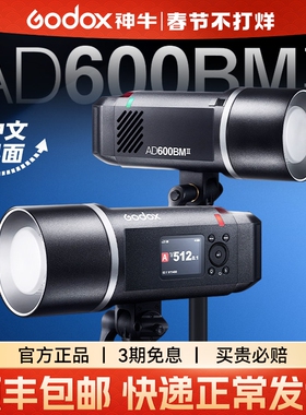 Godox 神牛外拍灯AD600BM II二代闪光灯自动测光TTL 户外摄影灯高速同步摄影棚外拍灯600W大功率影室灯
