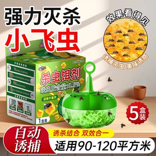 灭杀苍蝇药果蝇药诱捕蝇盒灭贴家用神器小飞虫灭杀神器防果蝇克星
