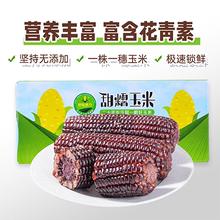 史低价！！【世际德力食品旗舰店】黑玉米10支x150g