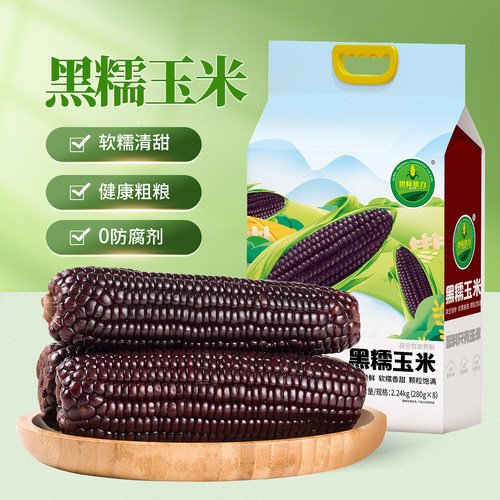 世际德力黑糯玉米非转基因花青素