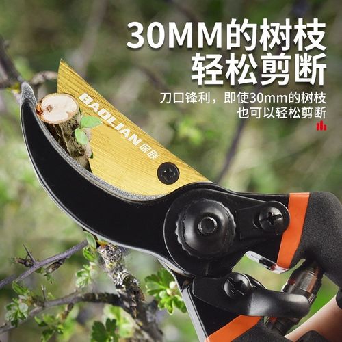 剪刀园艺剪枝修枝剪粗枝剪园v林花剪果树修剪树枝专用省力剪切工