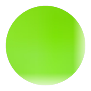 琼中绿橙树苗嫁接苗 红心绿橙 橙子苗当年结果甜橙红心橙子果树苗