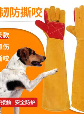 防狗咬手套防猫抓训狗宠物防咬手松鼠刺猬眼镜蛇防撕咬训犬加厚