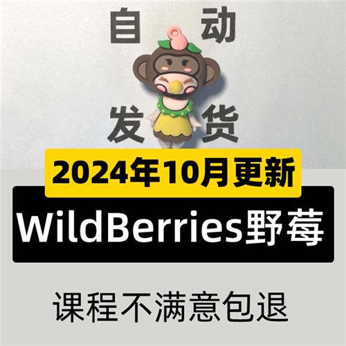 WildBerries野莓入驻开店K注册教.程 俄罗斯WB本土跨境新手运营课