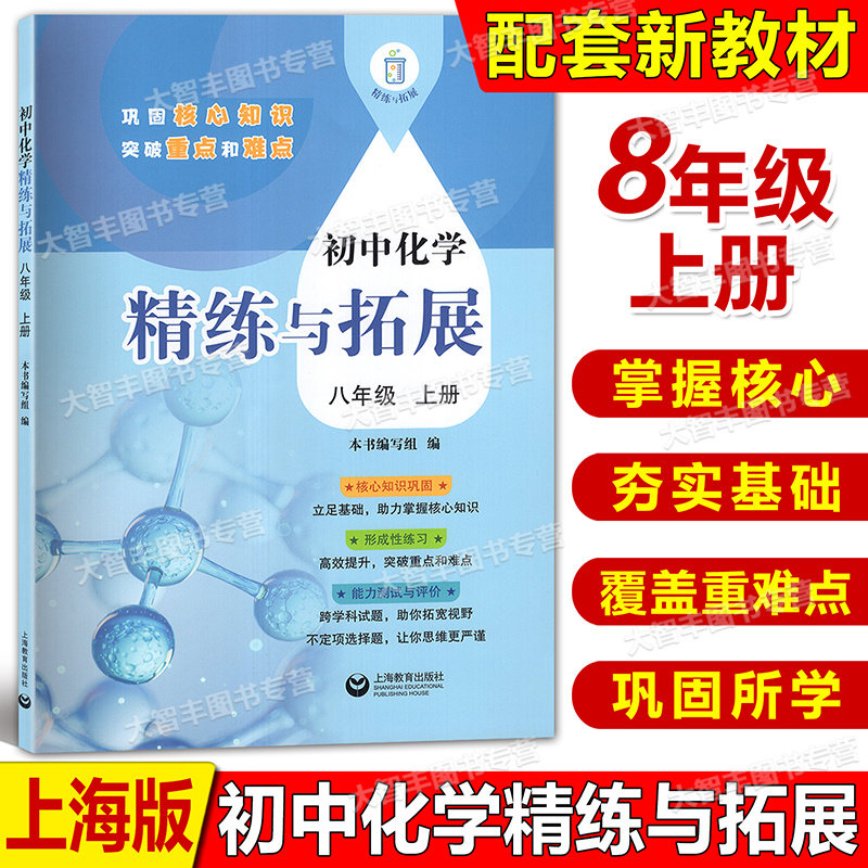 2024新版初中化学精练与拓