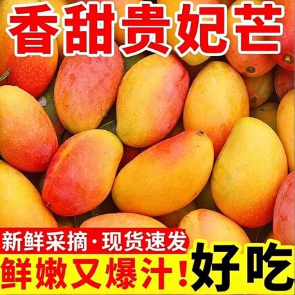 广西贵妃芒芒果新鲜水果当季新摘树上熟金青煌仙甜心台芒孕妇整箱