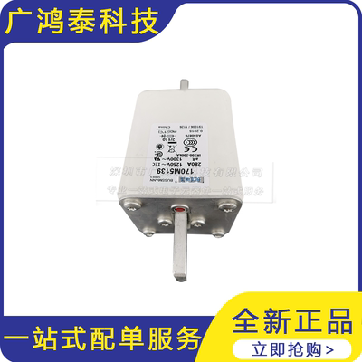 全新    170M5139    低压快速熔断器   保险丝底座 总熔断器