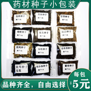 黄芪板蓝根紫苏黄芩牛蒡党参当归甘草药材种子套餐药用盆栽种子