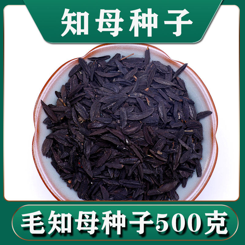 知母种子籽优质散装中药材河北多年生毛知母种植种籽种苗一斤500g