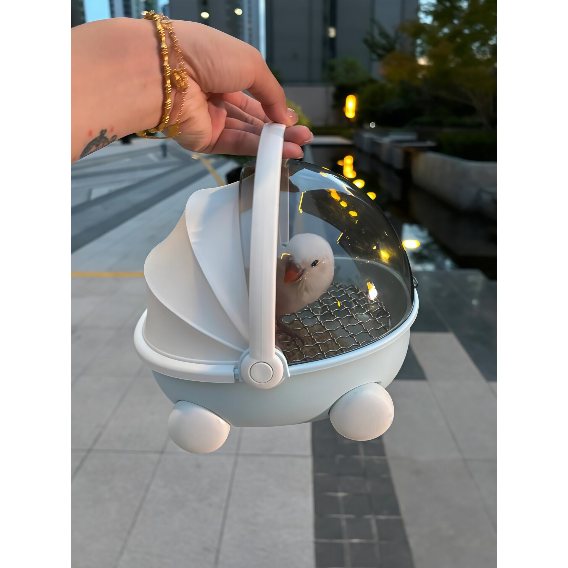 鹦鹉外出笼小鸟专用便携户外鸟笼子虎皮牡丹小鸟专用外带遛鸟神器