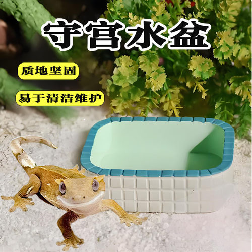 守宫水盆食盆睫角豹纹肥尾瘤尾蜥蜴爬宠生态造景可爱耐用用品