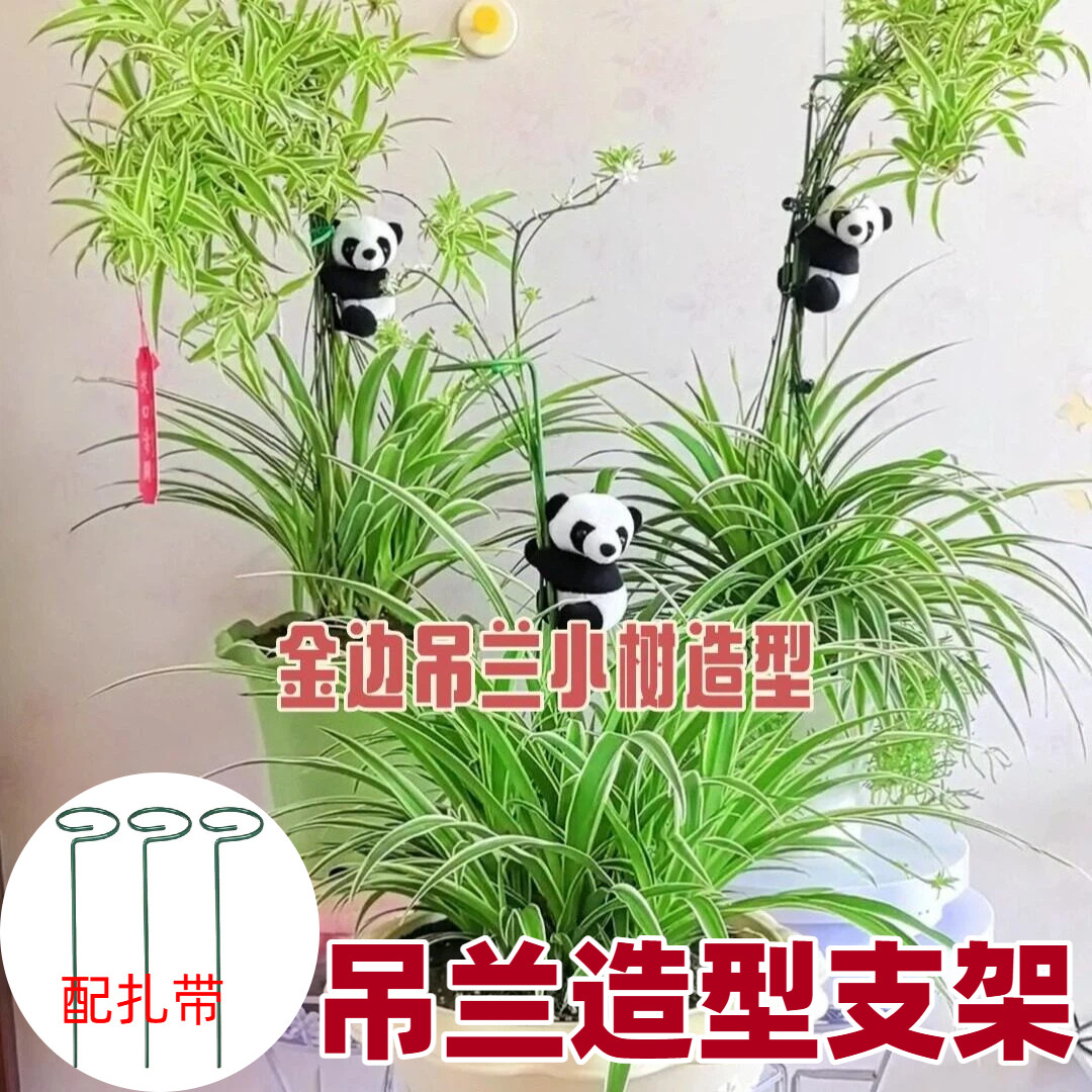 吊兰造型支架植物支撑杆朱顶红花卉园艺防倒扶支架插花固定植物枝