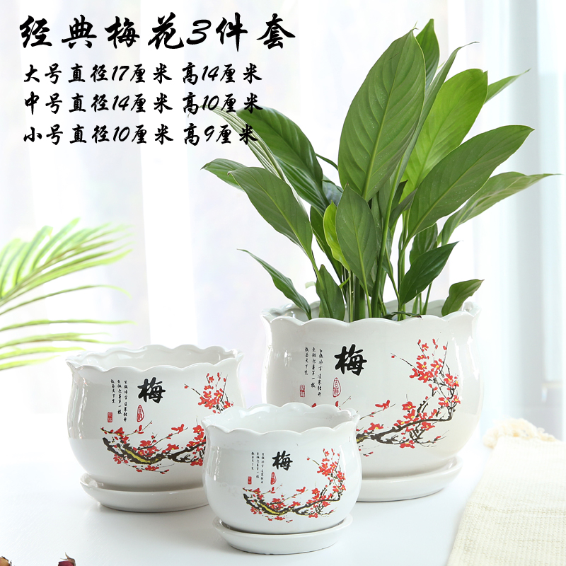 兰花盆批发特大多少钱 兰花盆批发特大优惠券免费领取 有条鱼