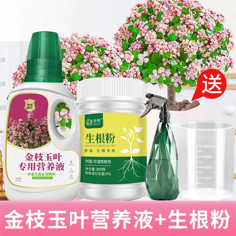 金枝玉叶专用肥营养液开花变色出锦肥料多肉怎么养植物水养通用型