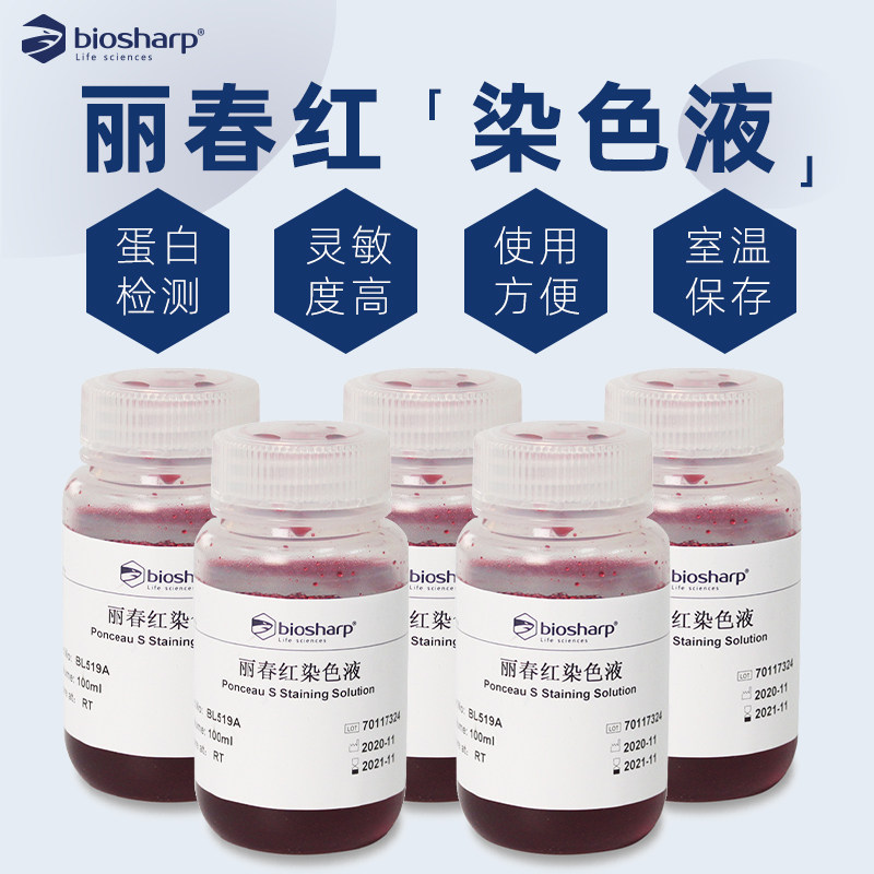 biosharp bl519a 丽春红染色液 ponceau s染色液 100ml/瓶