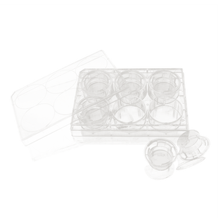 6孔12孔24孔PET聚酯膜 PC聚碳酸酯膜细胞小室培养板 transwell嵌套 实验室器材