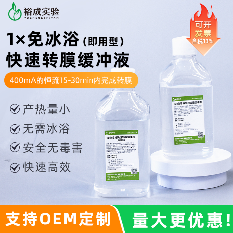 裕成实验1x免冰浴转印转膜液