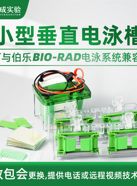 通用Bio-Rad/伯乐 Mini-ProteanTetra 小型垂直电泳槽 蛋白槽 含制胶系统 电泳槽电极芯 国产配件 1658001