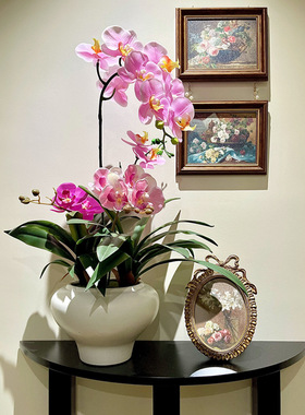 海虹景品蝴蝶兰仿真花湿感高品质盆栽摆设假花艺摆件客厅轻奢高端