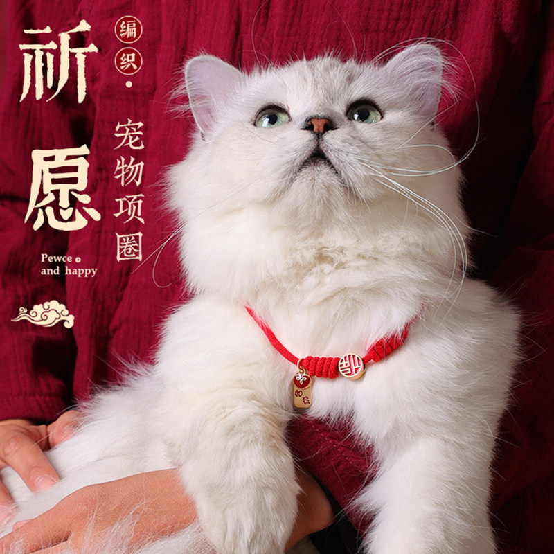 狗脖圈猫咪项圈猫项链