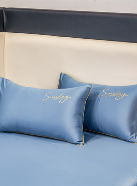 夏季凉感冰丝枕套一对装夏天家用枕头套家用单个枕芯内胆套48x74