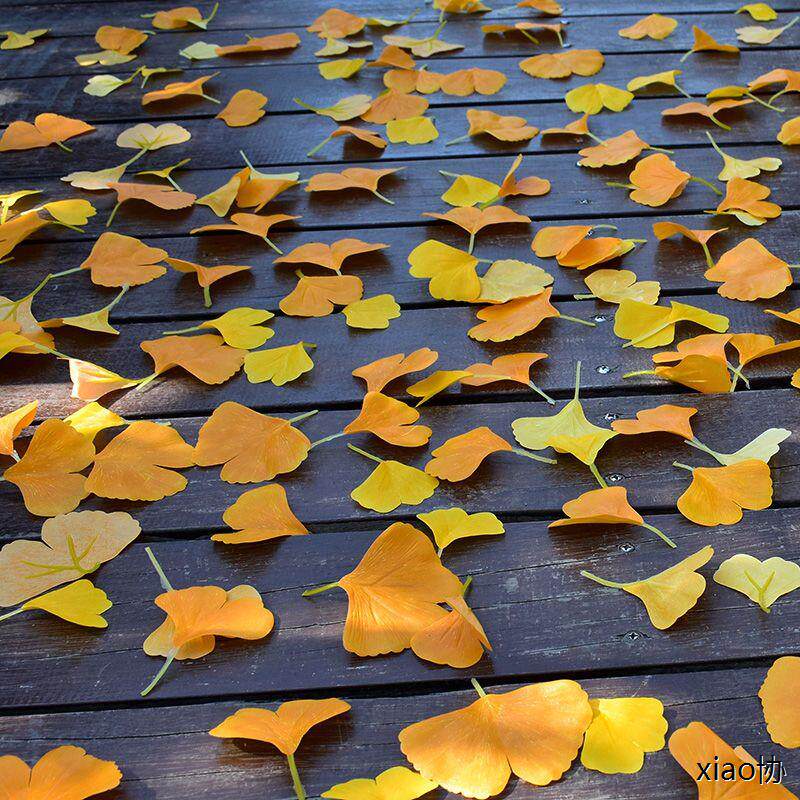 单片仿真银杏叶秋天黄色假树叶仿真落叶摄影铺地场景布置银杏叶子