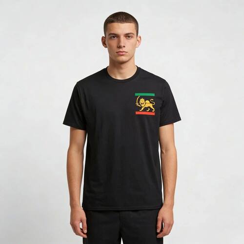 Iran Shir O Khorshid Lion & Sun Emblem T-Shirt Iranian Flag