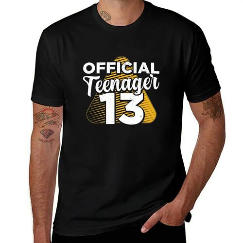 Boys 13th Birthday Official Teenager T-Shirt new gifts and t