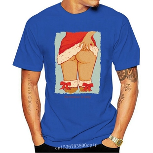 New Christmas is Sexy Mens Funny Xmas T-Shirt Secret Santa G