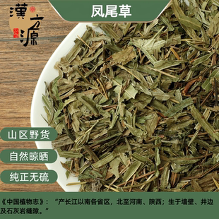 深山野生凤尾草中药材500g 凤凰草 金鸡尾 鸡脚草 井栏边草